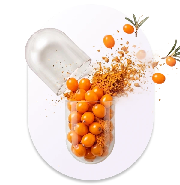 Sea Buckthorn