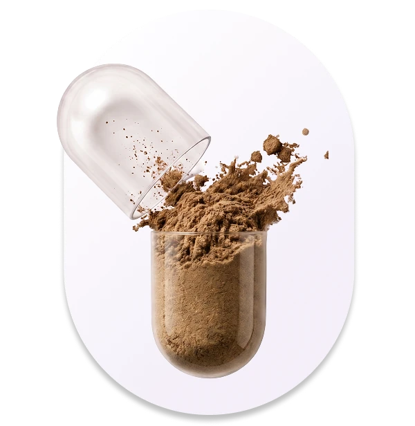 Rhodiola Rosea